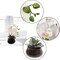Artificial White Phalaenopsis Orchid Arrangement | 18-Inch | Elegant Black Ceramic Round Vase with Lifelike Silk Blooms & Latex Green Foliage | Table Centerpieces | Home & Office Decor